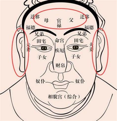 福鼻面相|面相图解 相学最有福气的7种鼻子